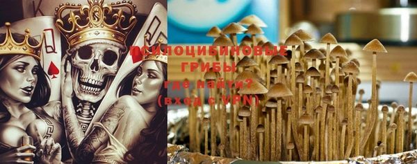 бошки Аркадак