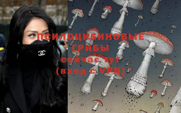 бошки Аркадак